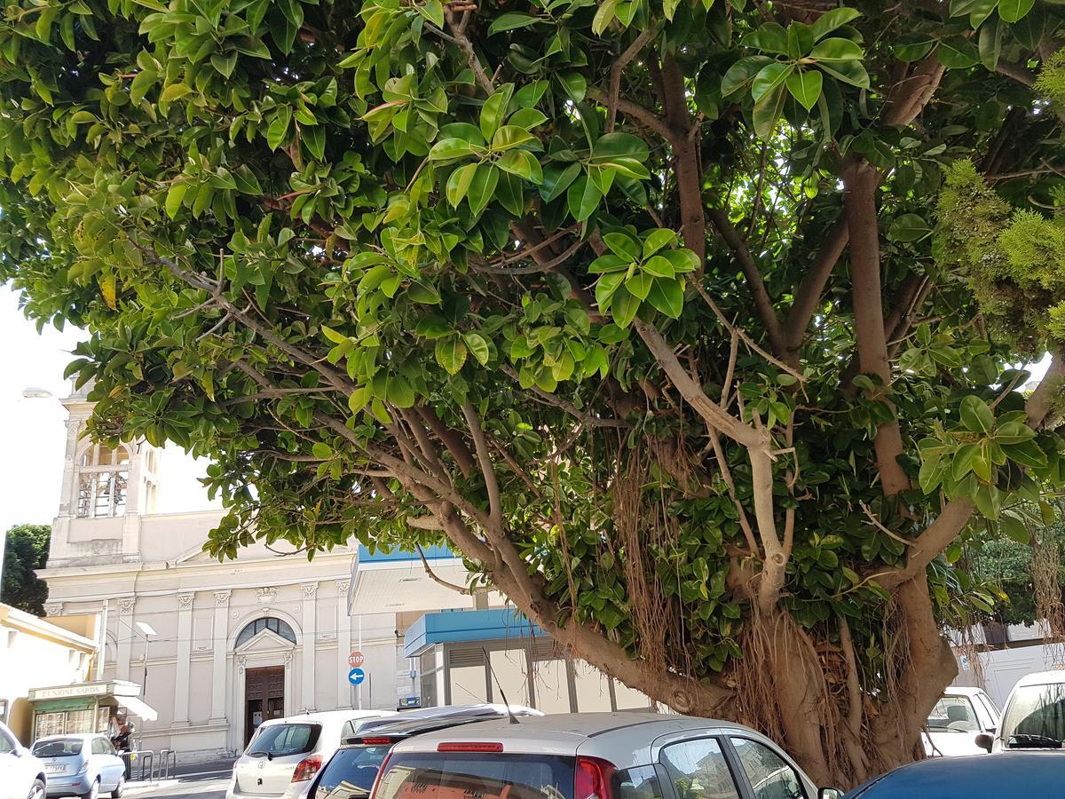 Da Agnese Locazioni Brevi Hotel Cagliari Kültér fotó